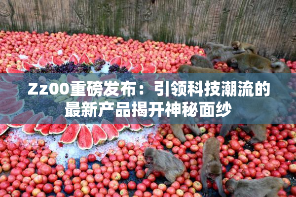 Zz00重磅发布：引领科技潮流的最新产品揭开神秘面纱