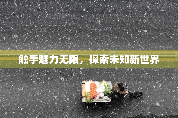 触手魅力无限，探索未知新世界