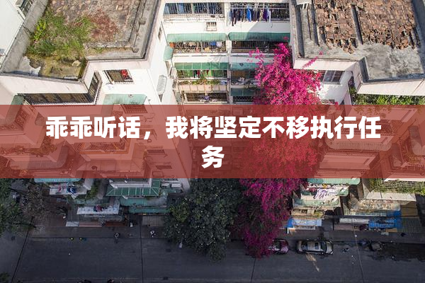 乖乖听话，我将坚定不移执行任务