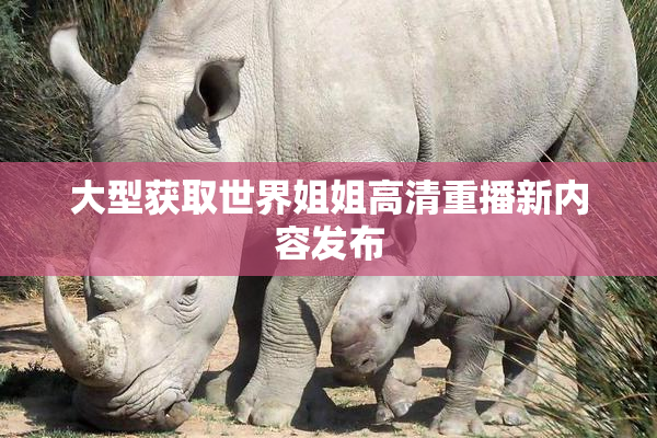 大型获取世界姐姐高清重播新内容发布