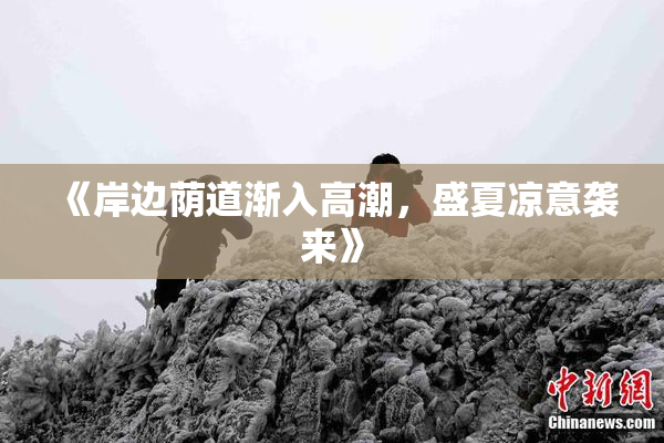 《岸边荫道渐入高潮，盛夏凉意袭来》