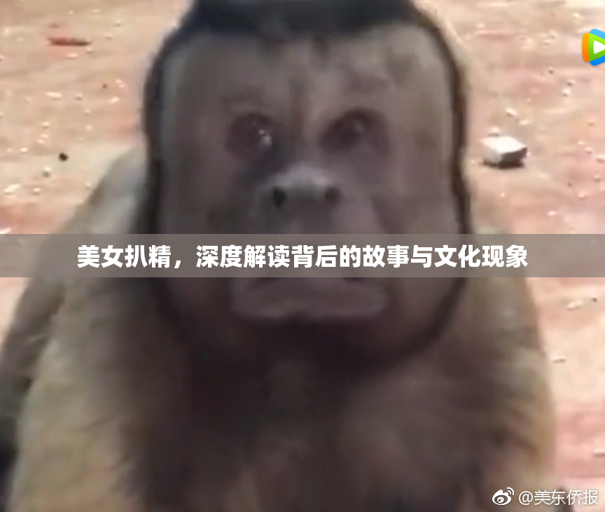 美女扒精，深度解读背后的故事与文化现象