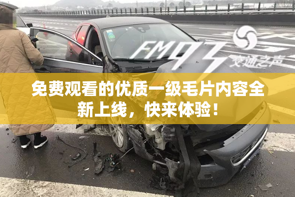 免费观看的优质一级毛片内容全新上线，快来体验！