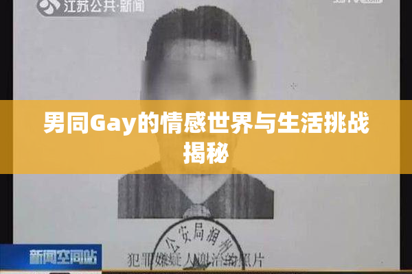 男同Gay的情感世界与生活挑战揭秘