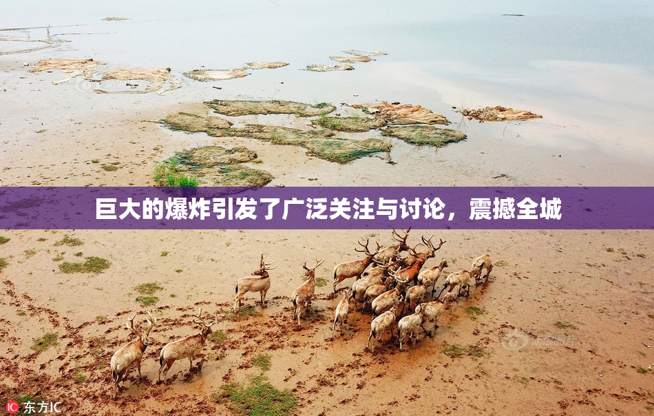 巨大的爆炸引发了广泛关注与讨论，震撼全城