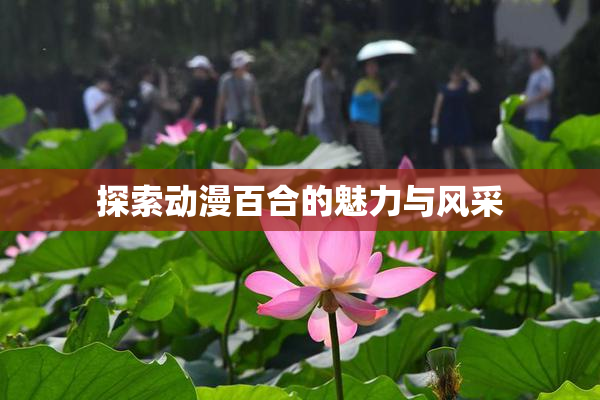 探索动漫百合的魅力与风采