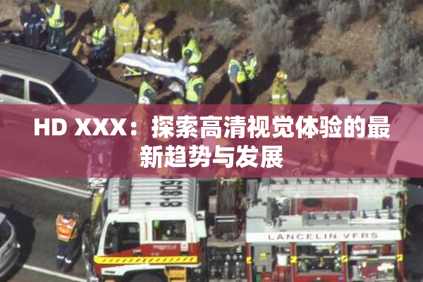 HD XXX：探索高清视觉体验的最新趋势与发展
