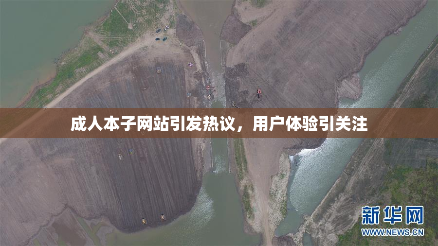 成人本子网站引发热议，用户体验引关注