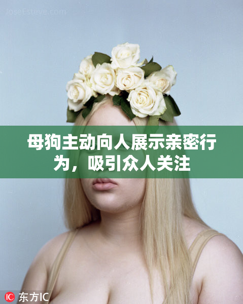母狗主动向人展示亲密行为，吸引众人关注