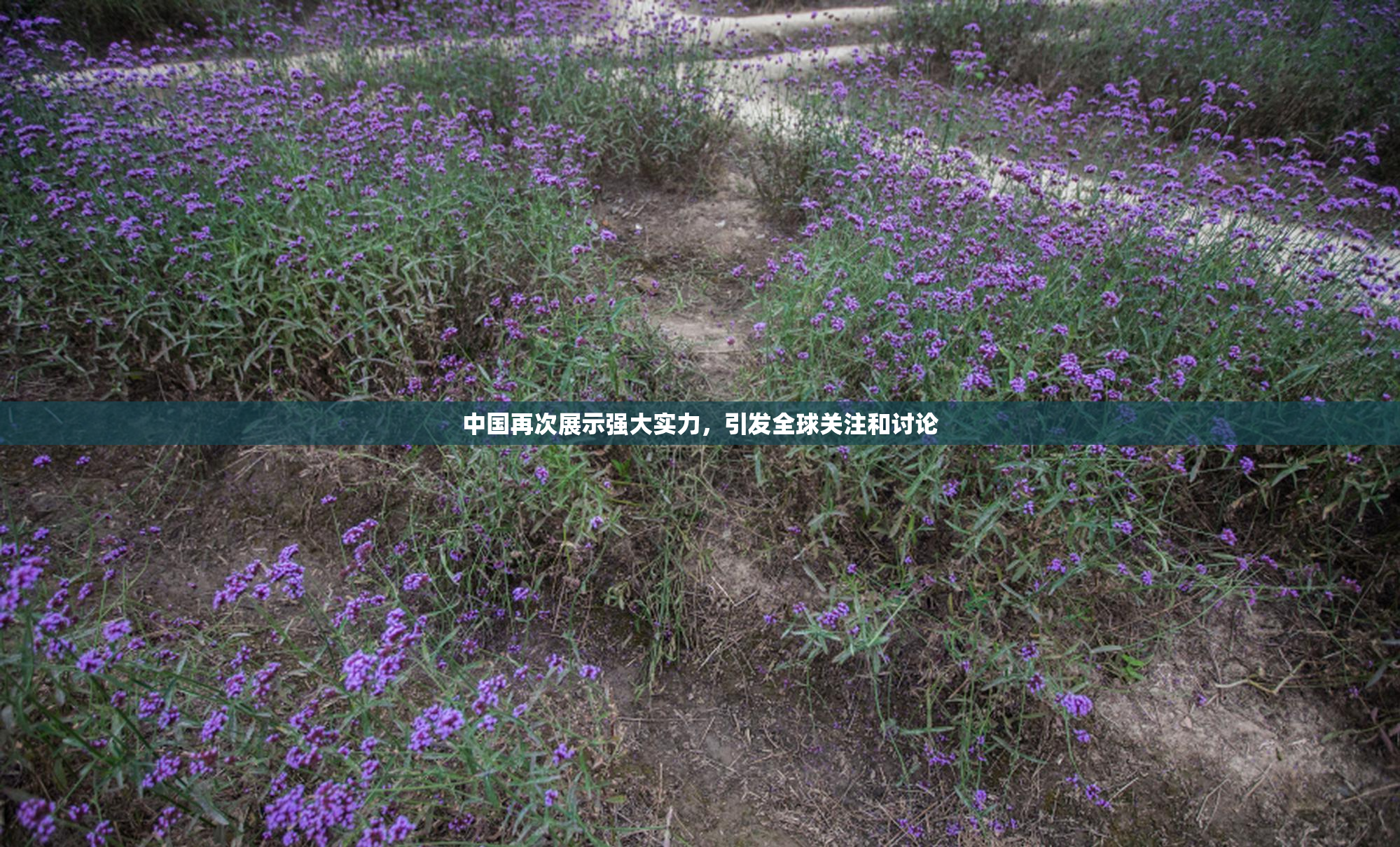 中国再次展示强大实力，引发全球关注和讨论