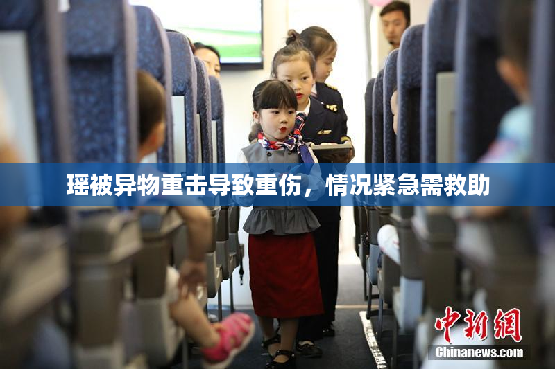 瑶被异物重击导致重伤，情况紧急需救助