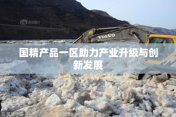 国精产品一区助力产业升级与创新发展
