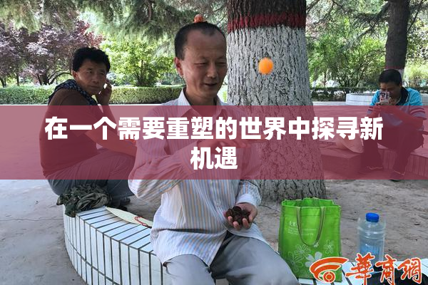 在一个需要重塑的世界中探寻新机遇