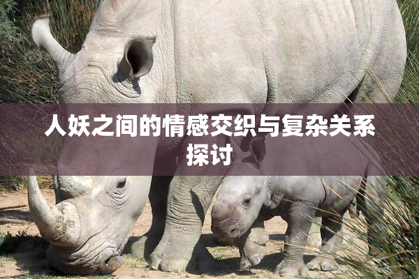 人妖之间的情感交织与复杂关系探讨