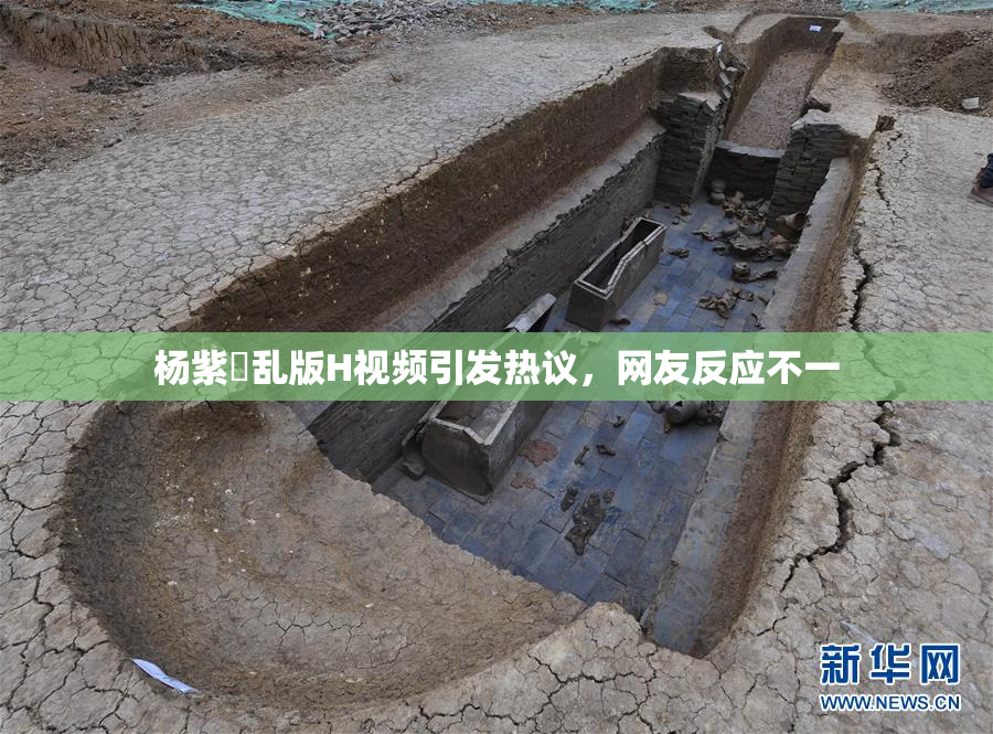 杨紫婬乱版H视频引发热议，网友反应不一