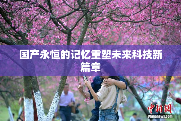 国产永恒的记忆重塑未来科技新篇章