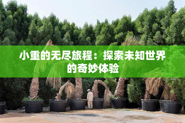 小重的无尽旅程：探索未知世界的奇妙体验