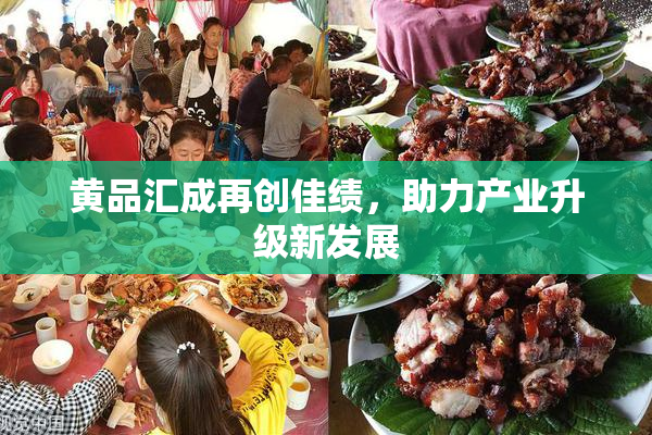 黄品汇成再创佳绩，助力产业升级新发展