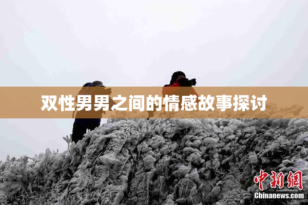 双性男男之间的情感故事探讨