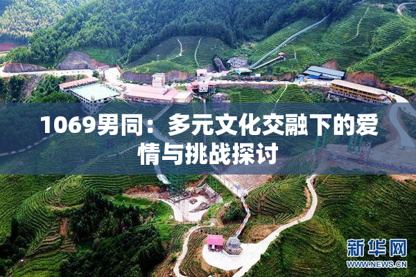 1069男同：多元文化交融下的爱情与挑战探讨