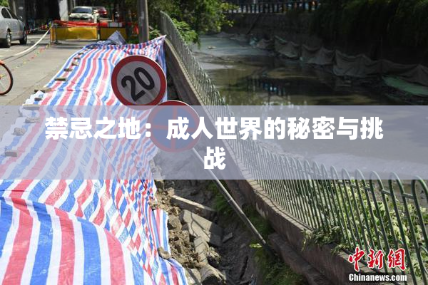 禁忌之地：成人世界的秘密与挑战