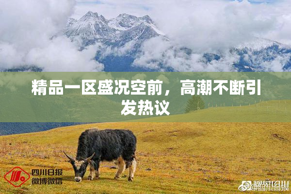 精品一区盛况空前，高潮不断引发热议