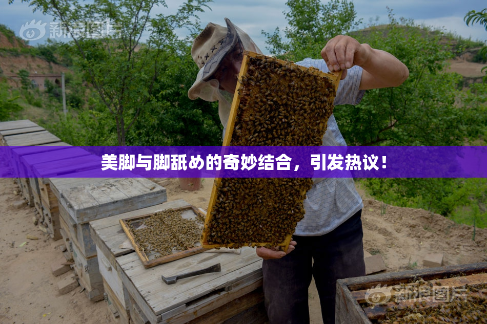 美脚与脚舐め的奇妙结合，引发热议！