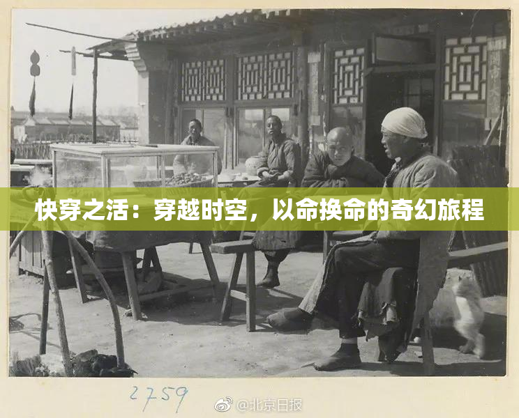 快穿之活：穿越时空，以命换命的奇幻旅程