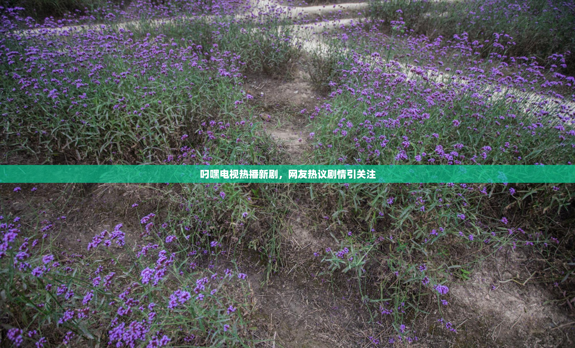 叼嘿电视热播新剧，网友热议剧情引关注