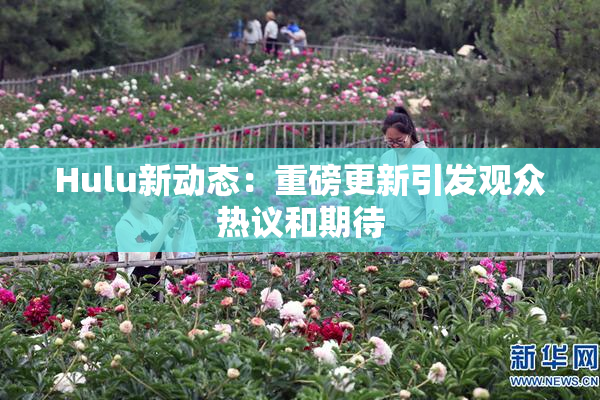 Hulu新动态：重磅更新引发观众热议和期待