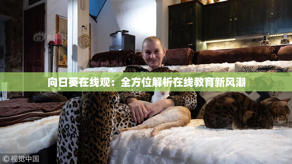 向日葵在线观：全方位解析在线教育新风潮