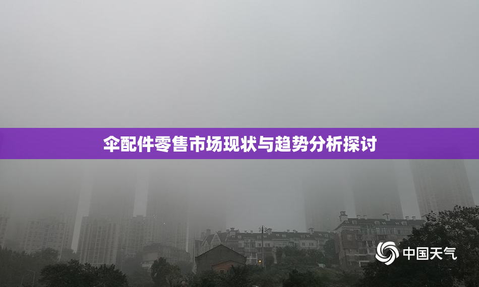 伞配件零售市场现状与趋势分析探讨