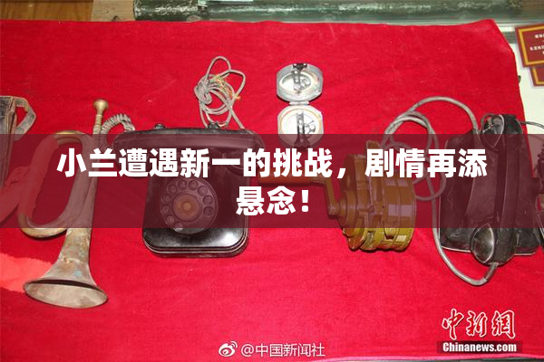 小兰遭遇新一的挑战，剧情再添悬念！