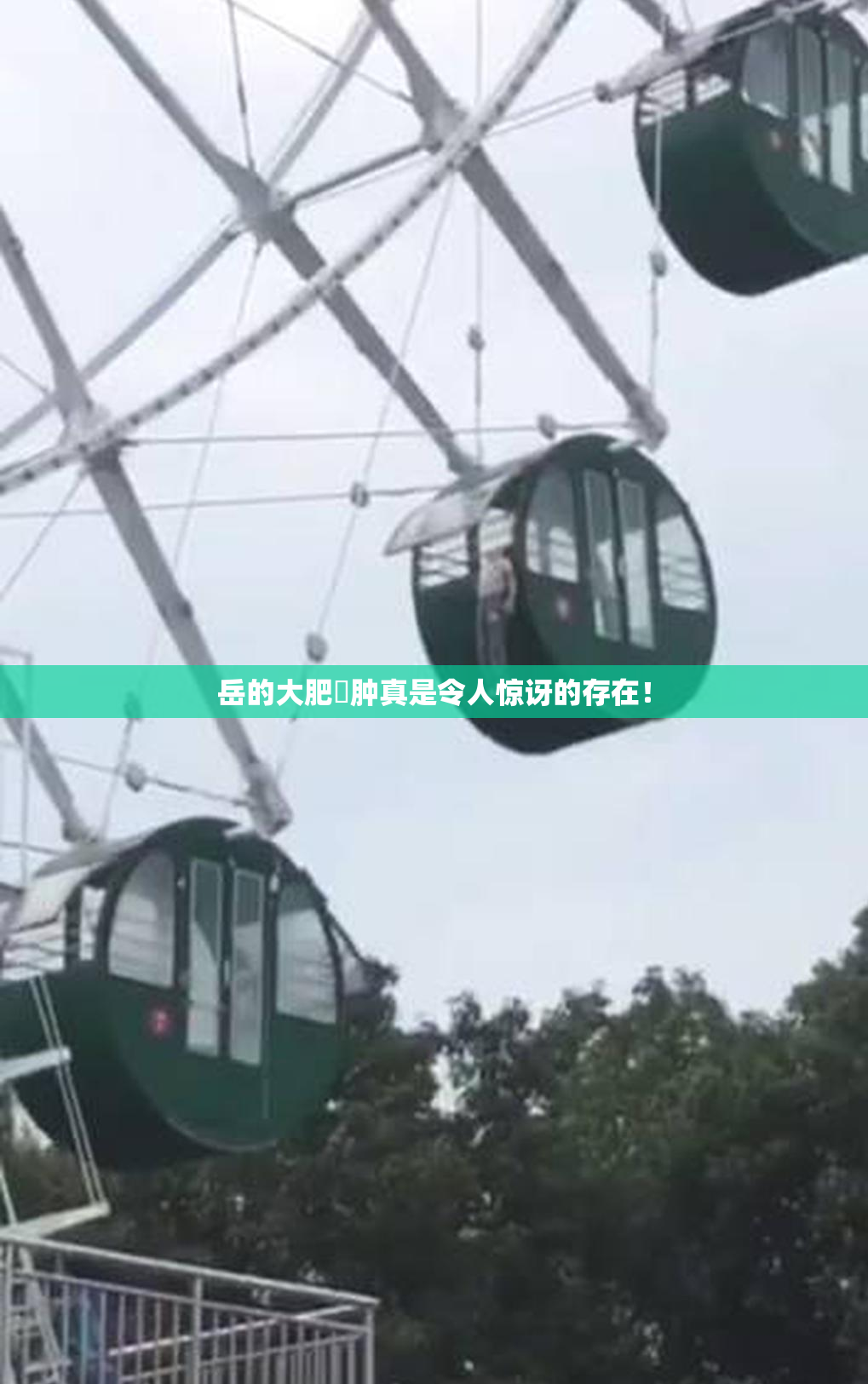 岳的大肥坹肿真是令人惊讶的存在！