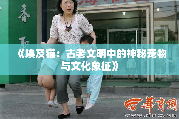 《埃及猫：古老文明中的神秘宠物与文化象征》