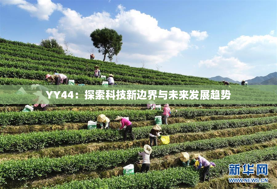 YY44：探索科技新边界与未来发展趋势