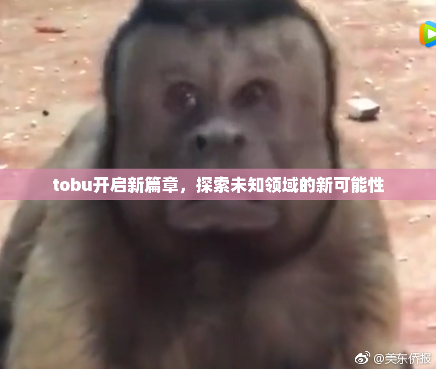 tobu开启新篇章，探索未知领域的新可能性