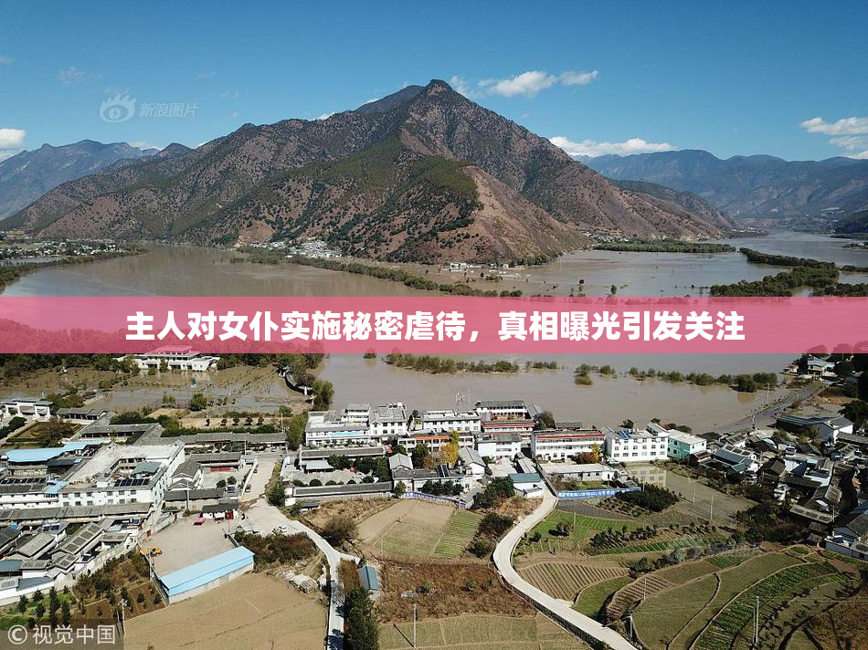 主人对女仆实施秘密虐待，真相曝光引发关注