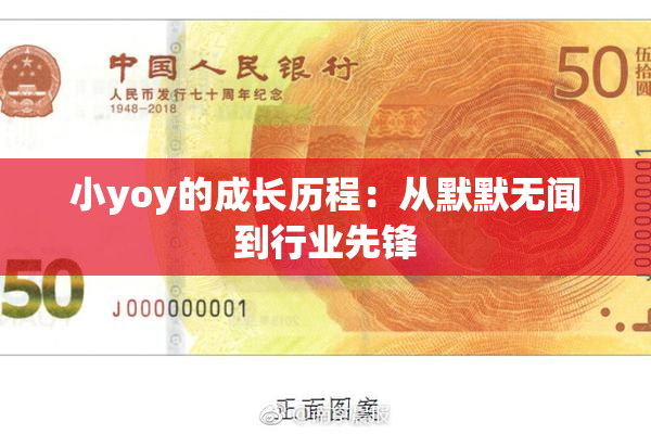 小yoy的成长历程：从默默无闻到行业先锋