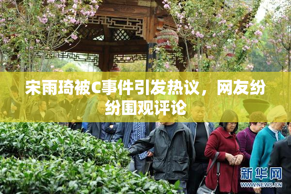 宋雨琦被C事件引发热议，网友纷纷围观评论