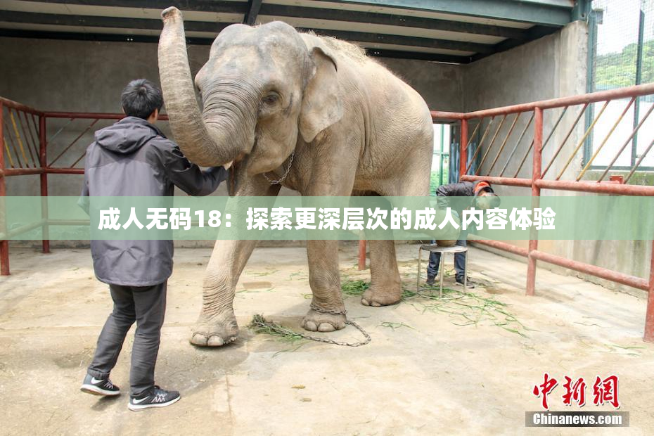 成人无码18：探索更深层次的成人内容体验