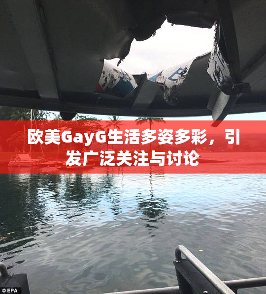 欧美GayG生活多姿多彩，引发广泛关注与讨论