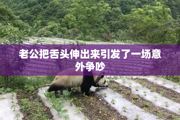 老公把舌头伸出来引发了一场意外争吵