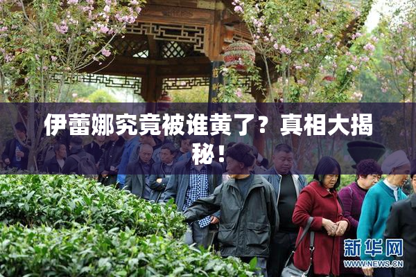 伊蕾娜究竟被谁黄了？真相大揭秘！