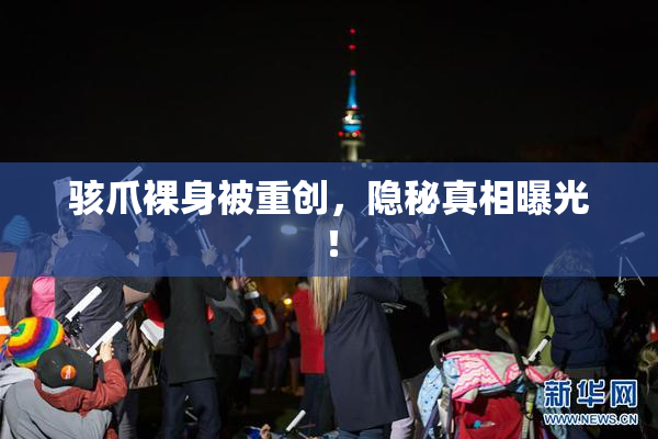 骇爪裸身被重创，隐秘真相曝光！