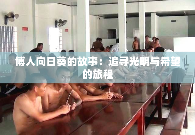 博人向日葵的故事：追寻光明与希望的旅程