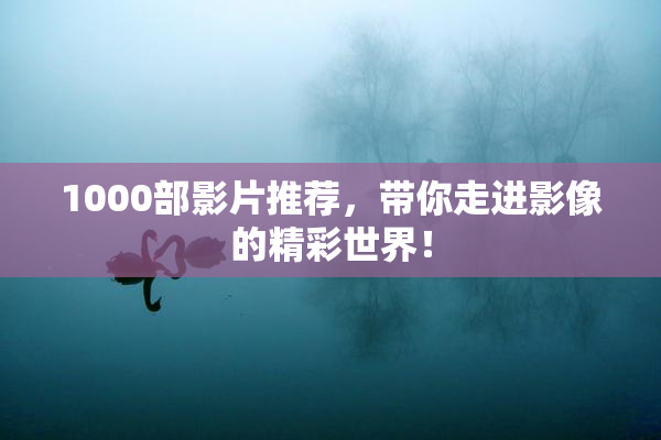 1000部影片推荐，带你走进影像的精彩世界！
