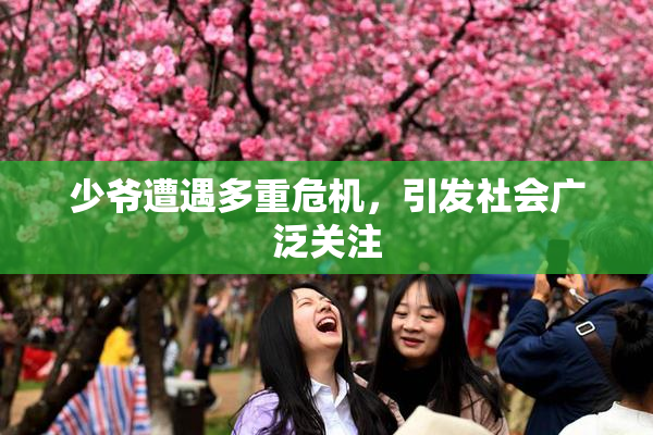 少爷遭遇多重危机，引发社会广泛关注