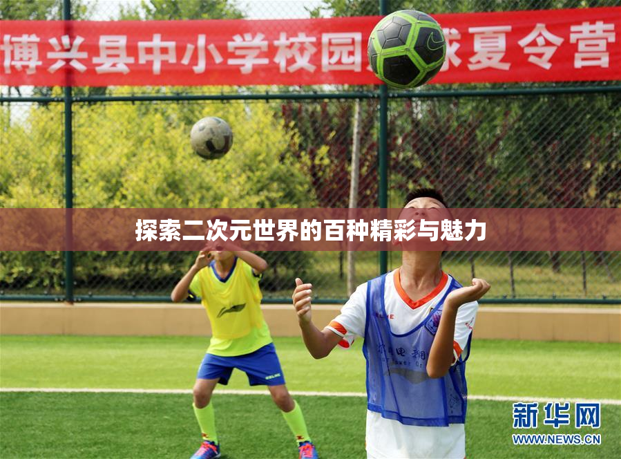 探索二次元世界的百种精彩与魅力