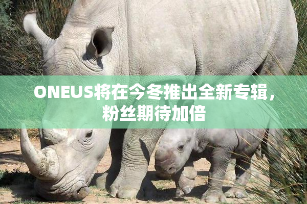ONEUS将在今冬推出全新专辑，粉丝期待加倍